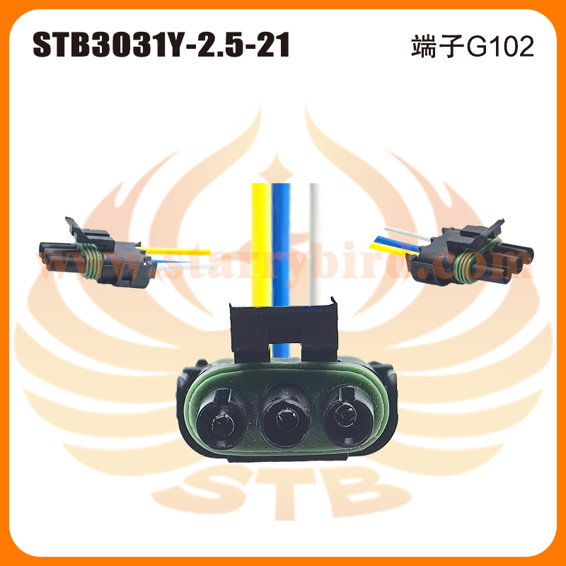 STB3031Y-2.5-21
