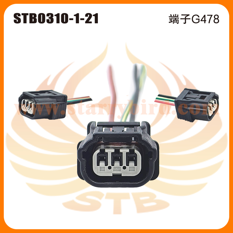 STB0310-1-21