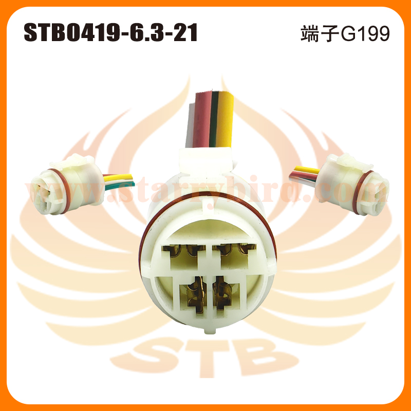 STB0419-6.3-21