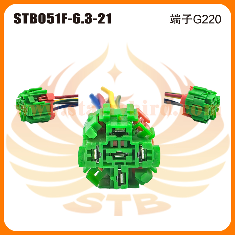 STB051F-6.3-21