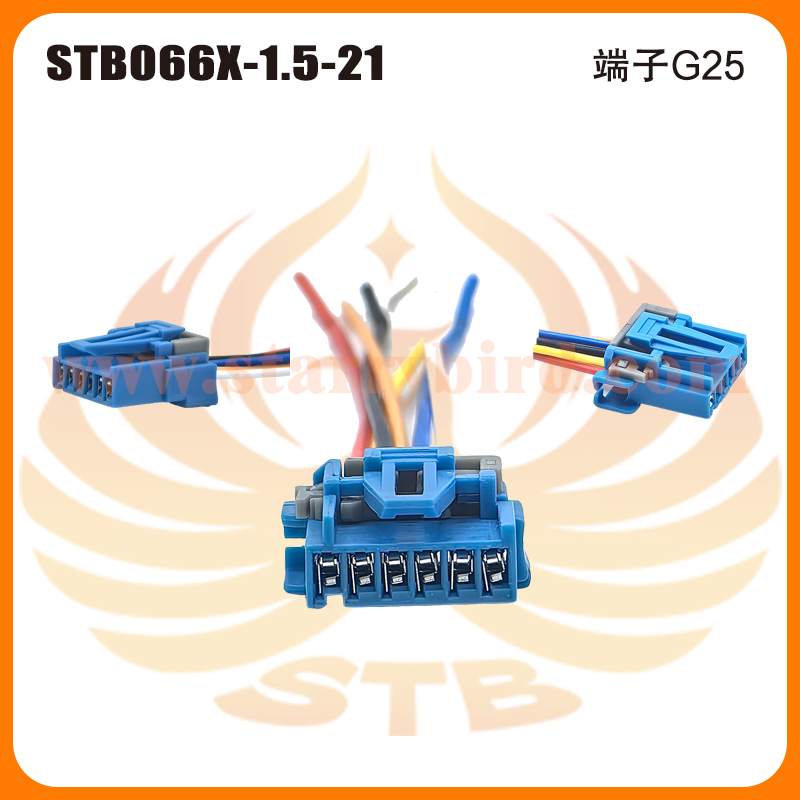 STB066X-1.5-21