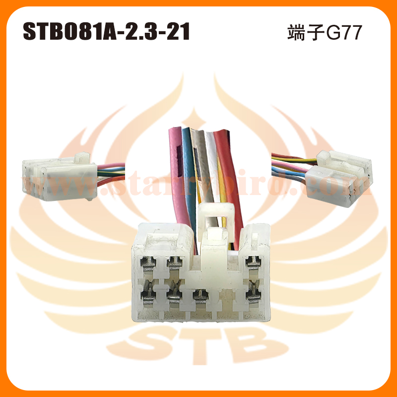 STB081A-2.3-21