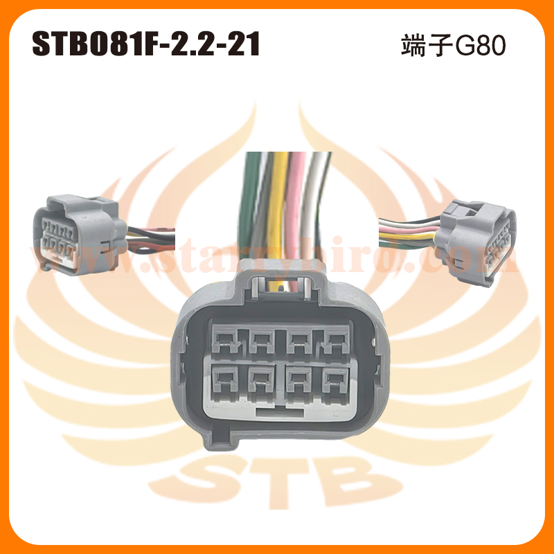 STB081F-2.2-21