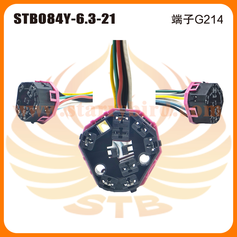STB084Y-6.3-21