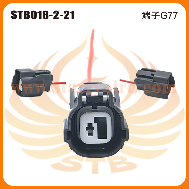 STB018-2-21