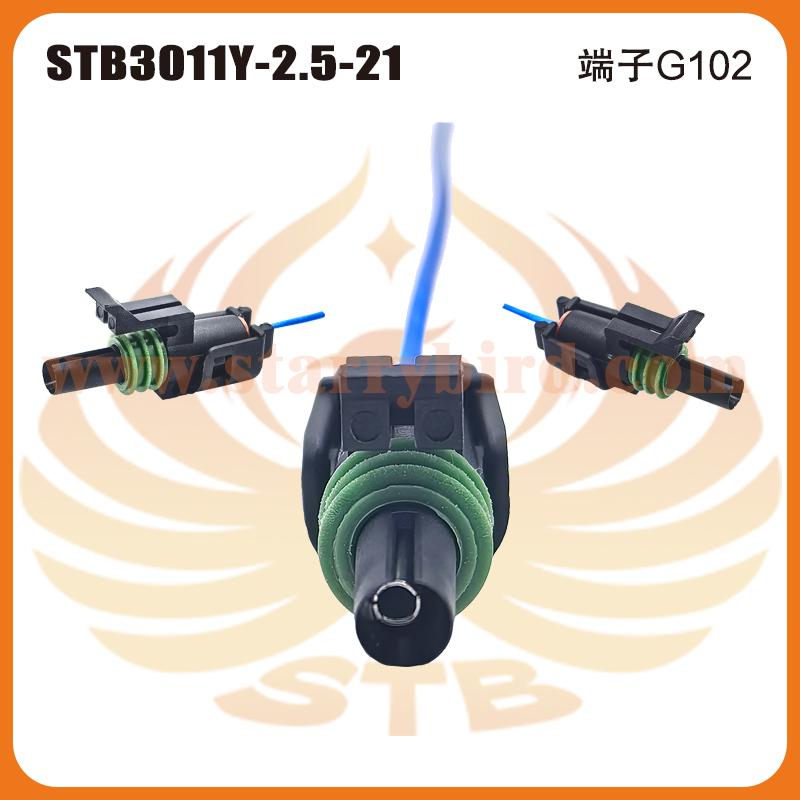 STB3011Y-2.5-21