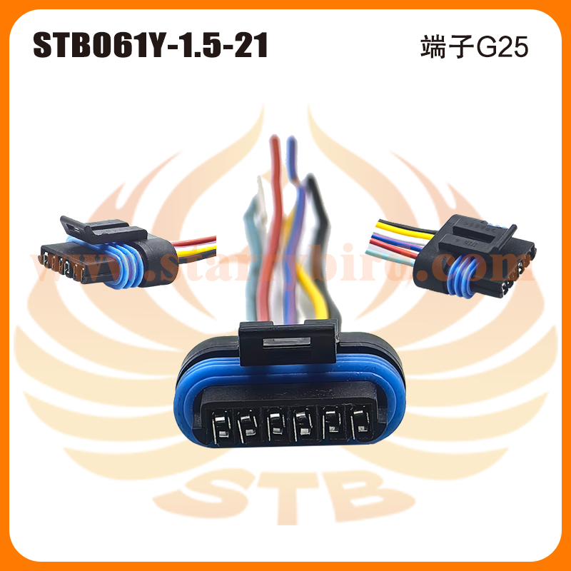 STB061Y-1.5-21