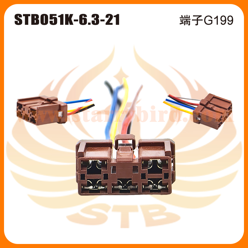STB051K-6.3-21