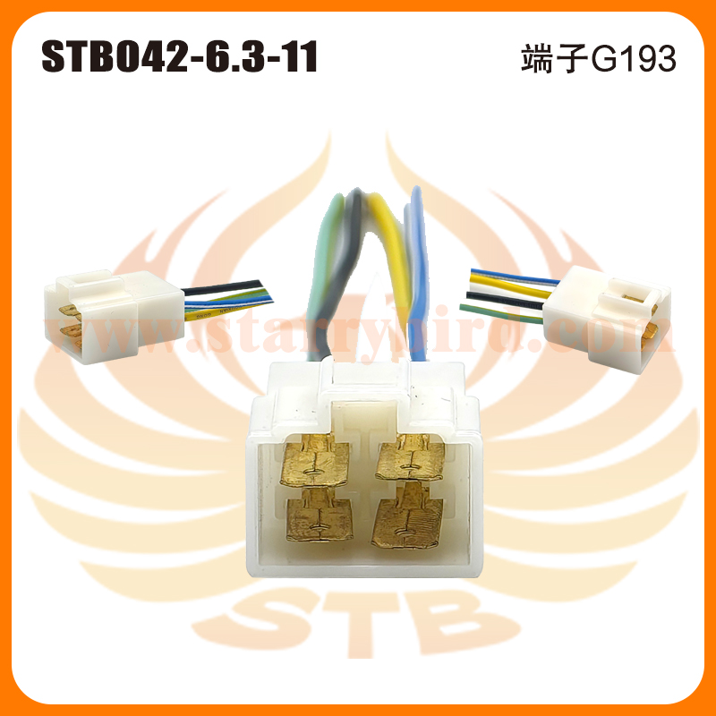STB042-6.3-11