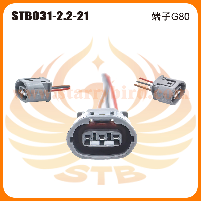 STB031-2.2-21