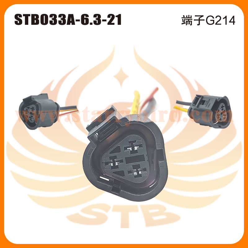 STB033A-6.3-21