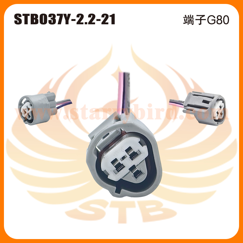 STB037Y-2.2-21