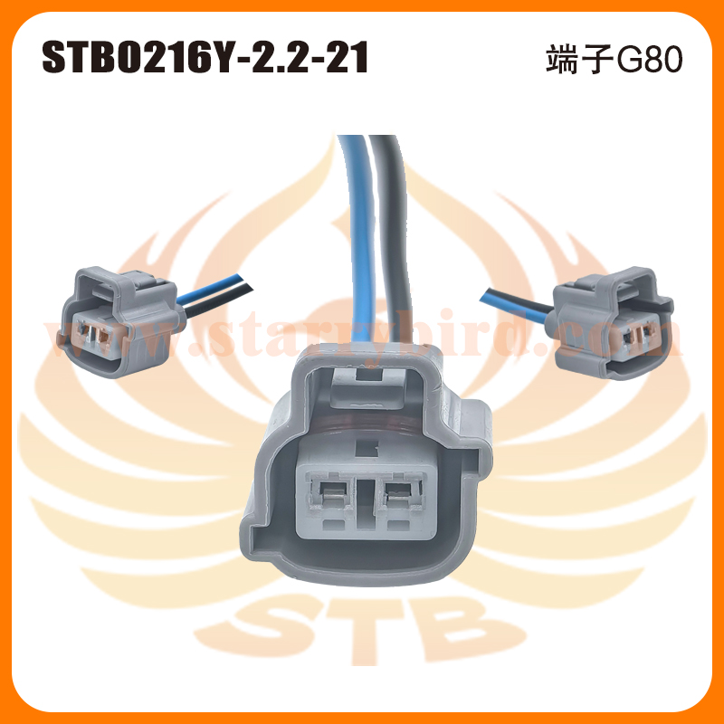 STB0216Y-2.2-21