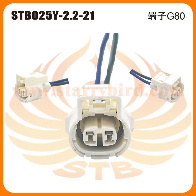 STB025Y-2.2-21