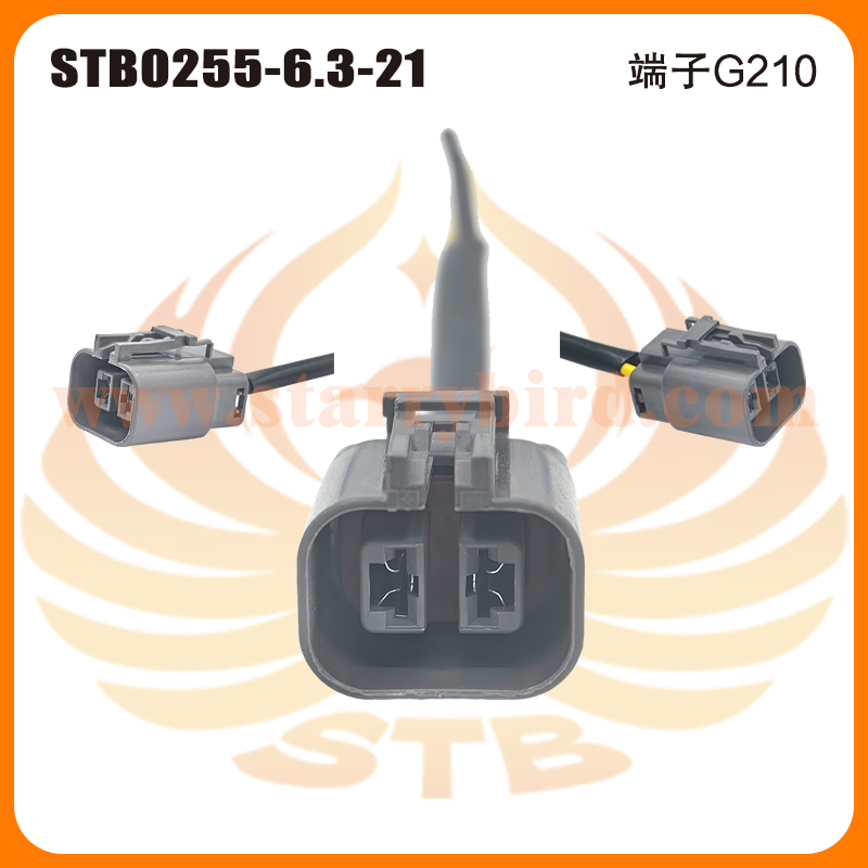 STB0255-6.3-21