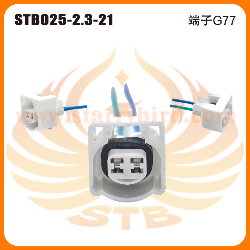 STB025-2.3-21