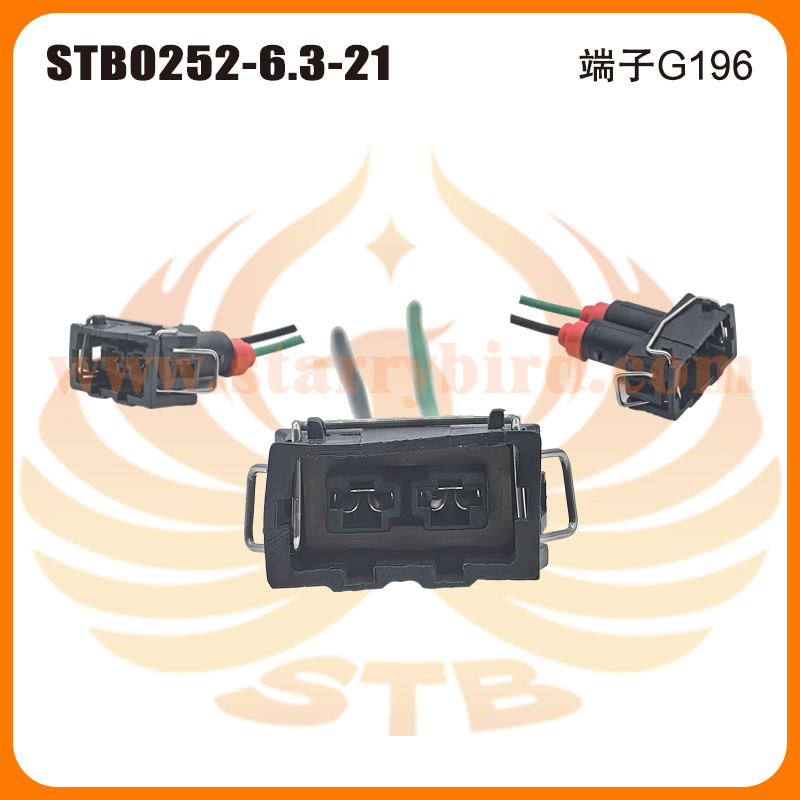 STB0252-6.3-21