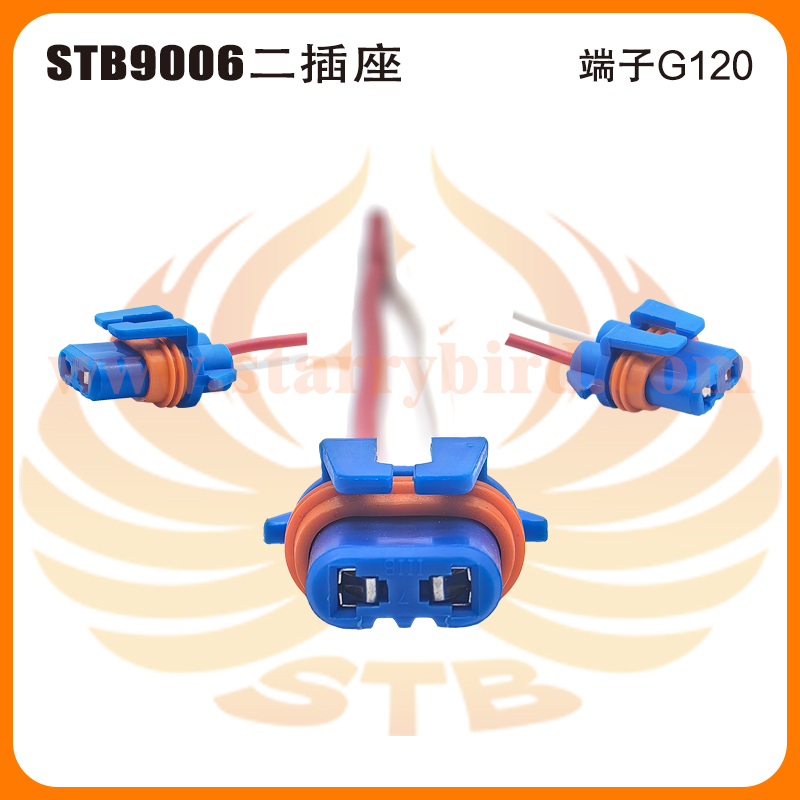 STB9006二插座