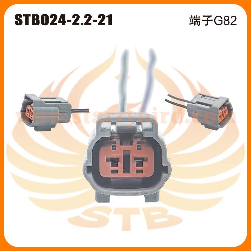 STB024-2.2-21