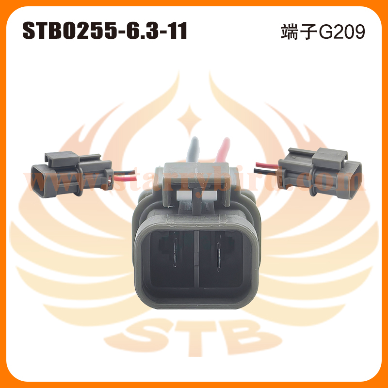 STB0255-6.3-11