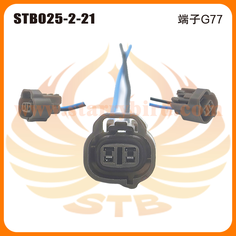 STB025-2-21