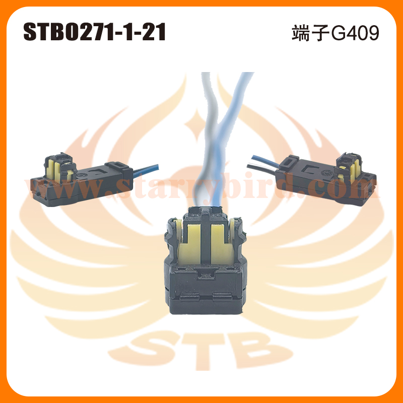 STB0271-1-21