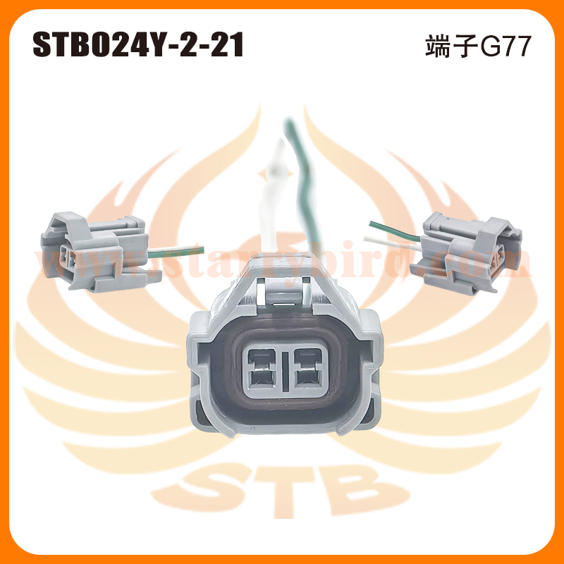 STB024Y-2-21