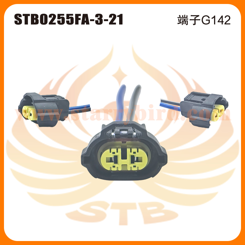 STB0255FA-3-21