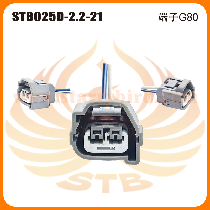 STB025D-2.2-21