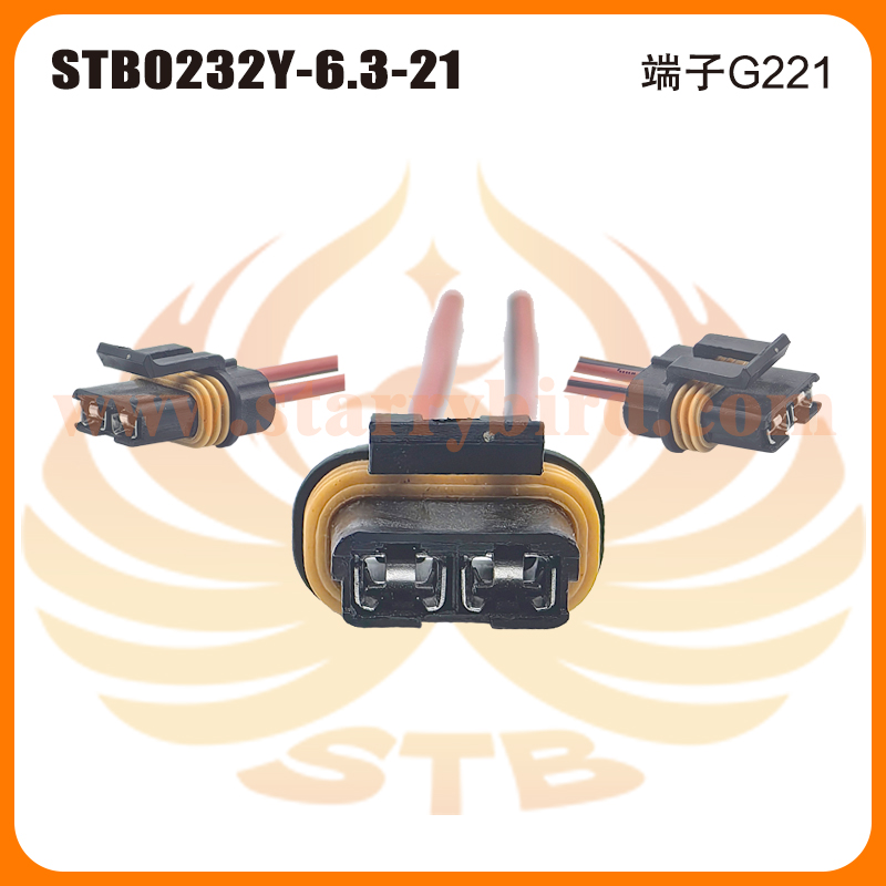 STB0232Y-6.3-21