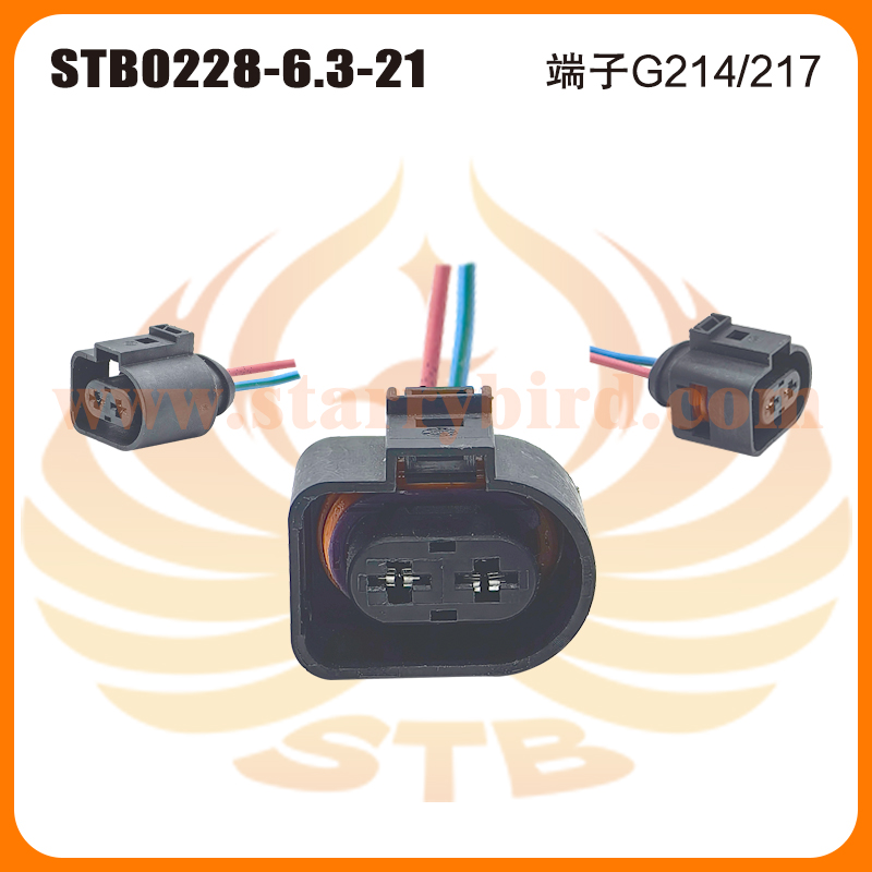 STB0228-6.3-21