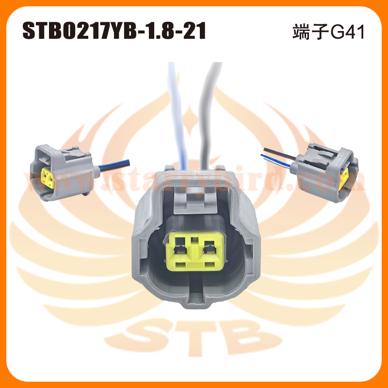 STB0217YB-1.8-21