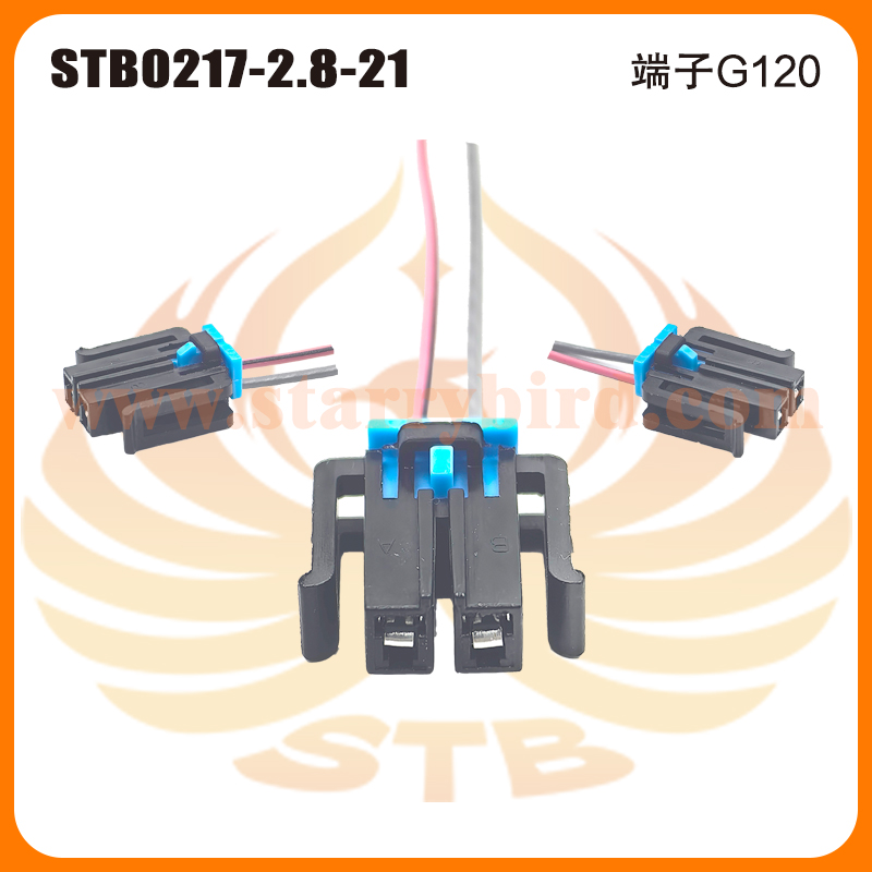 STB0217-2.8-21