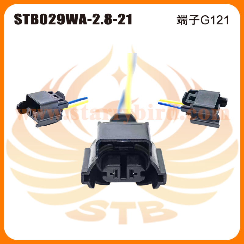 STB029WA-2.8-21