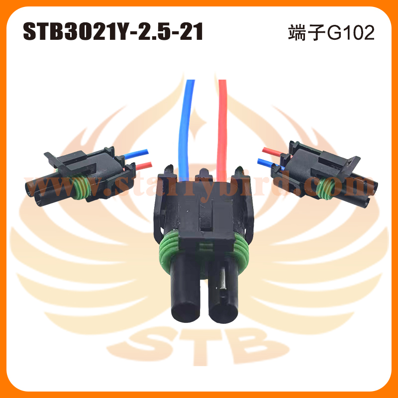 STB3021Y-2.5-21