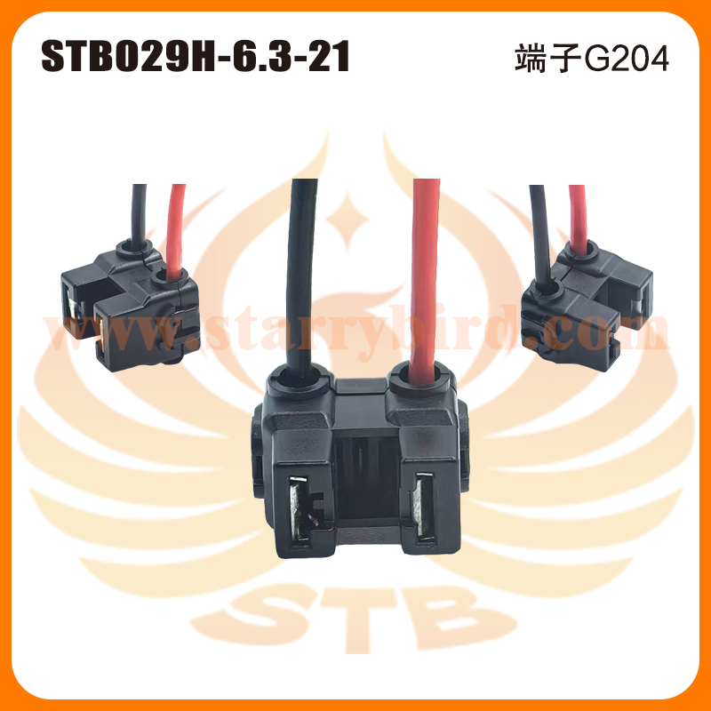 STB029H-6.3-21