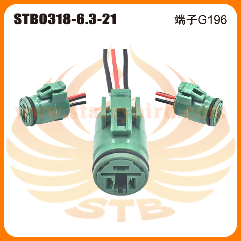 STB0318-6.3-21