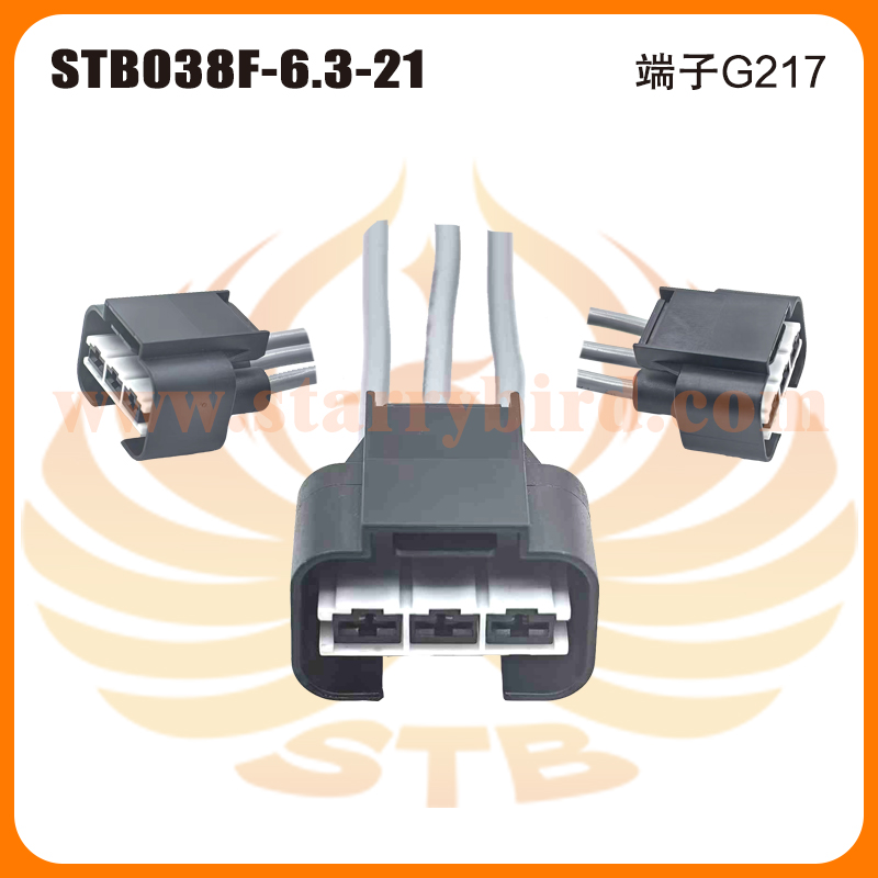 STB038F-6.3-21
