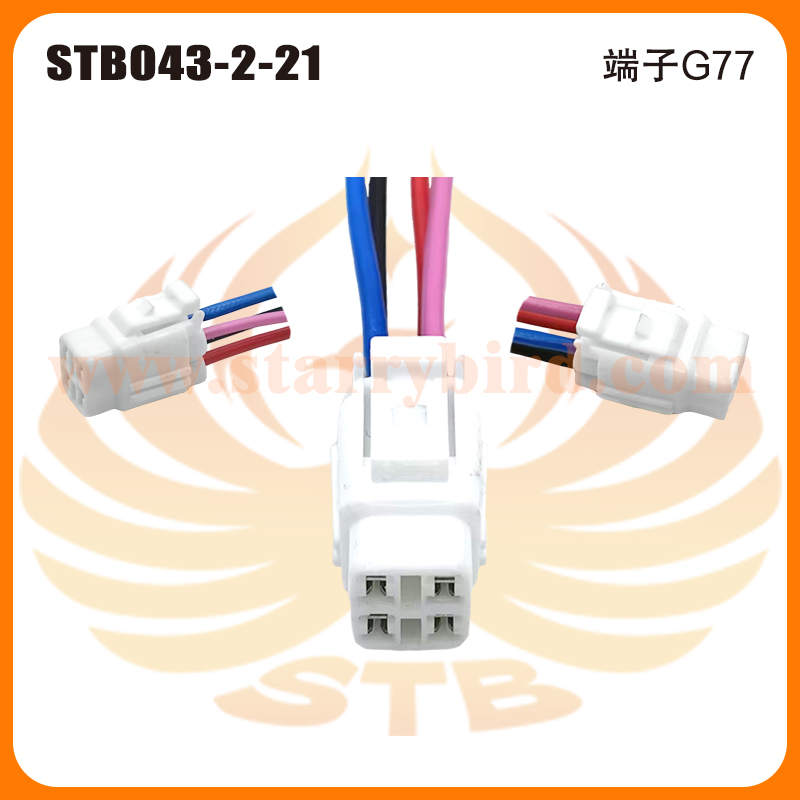 STB043-2-21