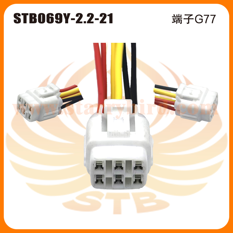 STB069Y-2.2-21