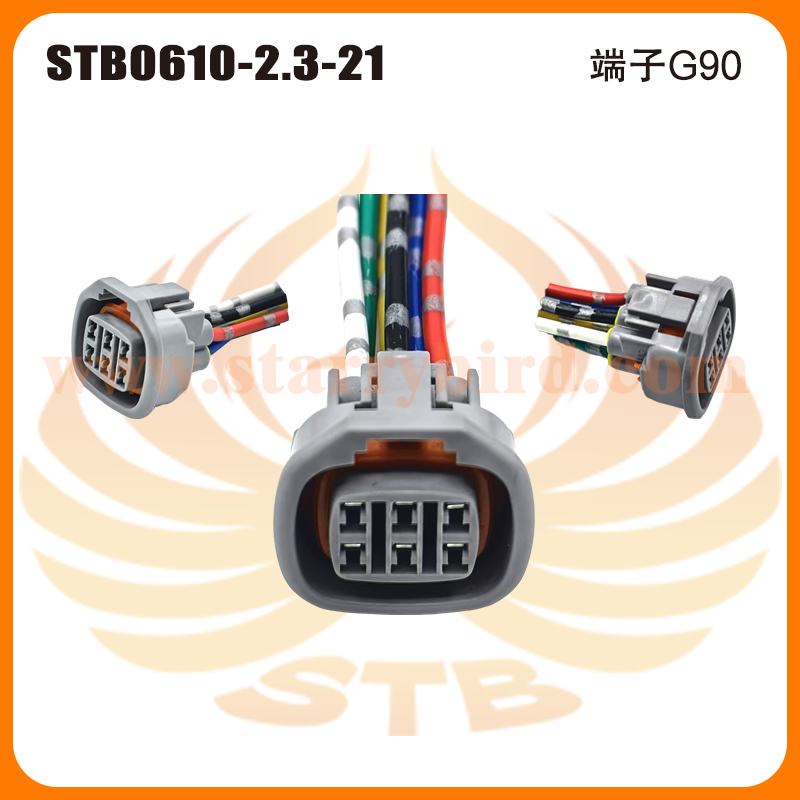 STB0610-2.3-21