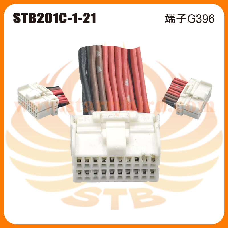 STB201C-1-21
