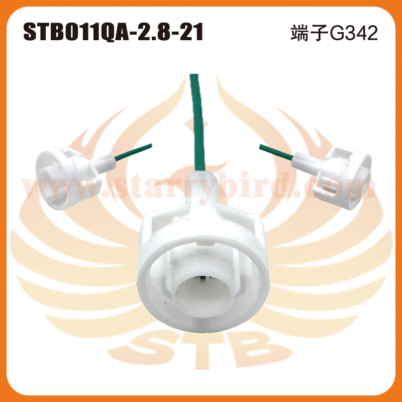 STB011QA-2.8-21