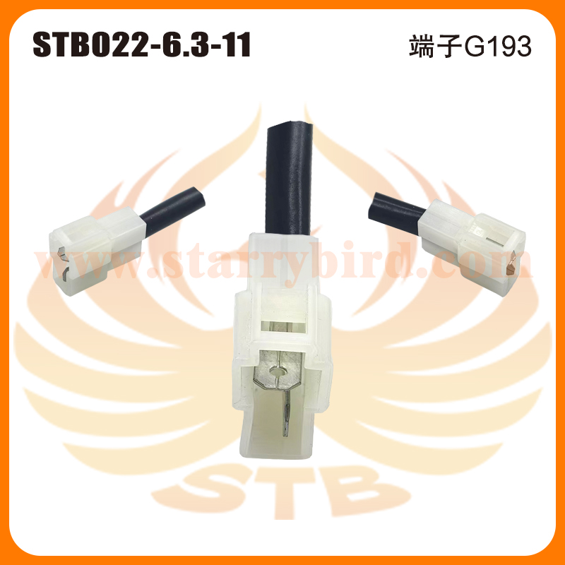 STB022-6.3-11