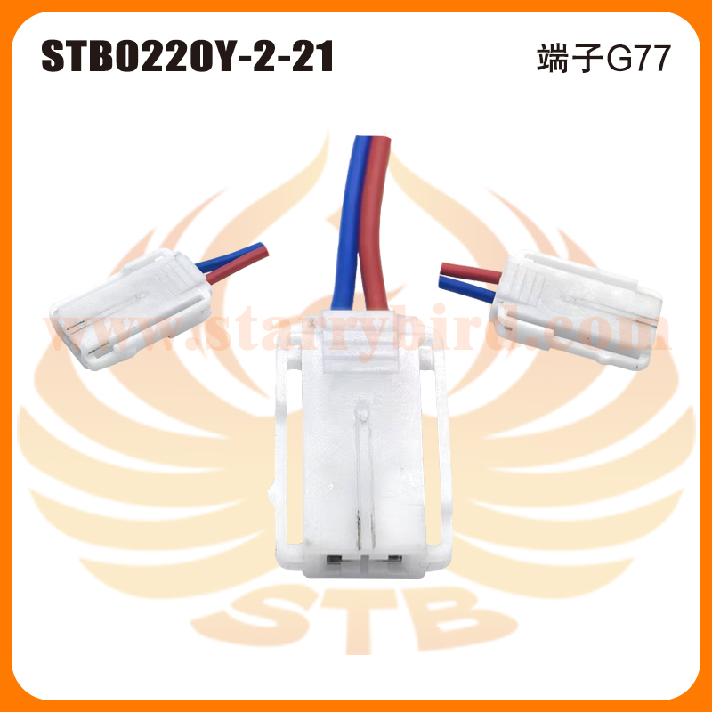 STB0220Y-2-21