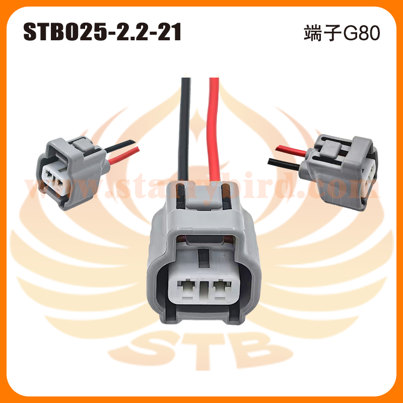 STB025-2.2-21