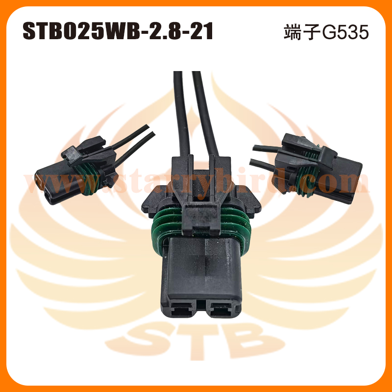 STB025WB-2.8-21