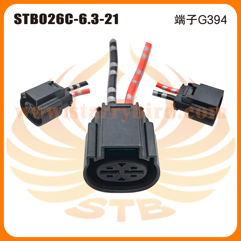 STB026C-6.3-21