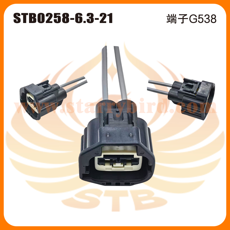 STB0258-6.3-21
