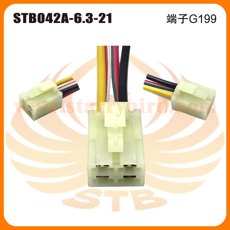 STB042A-6.3-21